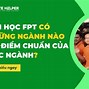 Học Fpt Nên Chọn Ngành Nào Ở