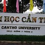 Học Phí Ielts Đại Học Cần Thơ 2023 Học Bạ Thpt