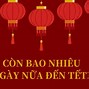 Nghỉ Tết Nguyên Đán 2024 Vào Ngày Nào