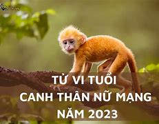 Tử Vi Tuổi Canh Thân Nữ Mạng 1980 Năm 2023